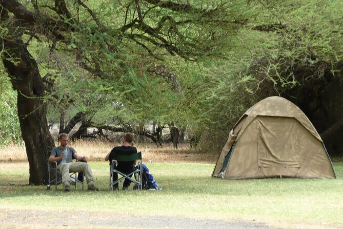 4 Days Wildlife Safari and Cultural Experience in Tanzania - Day 1: Tarangire and the elephant country south of Arusha