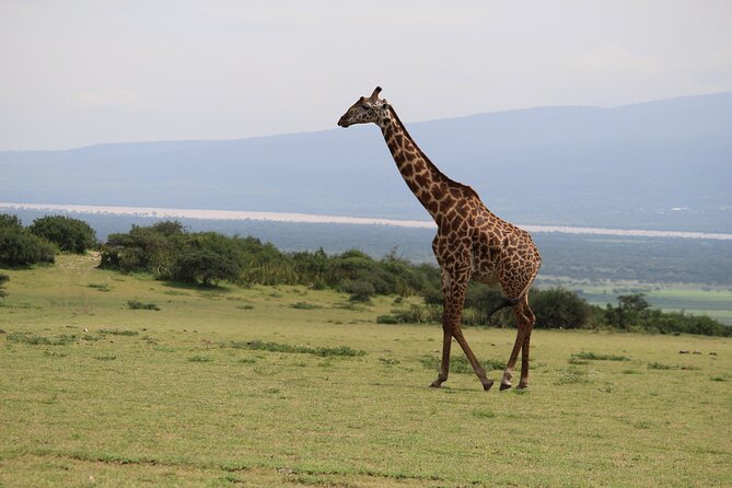 5-Day Highlights mid-Range Crater, Serengeti, Tarangire - What the $2,327 price really covers