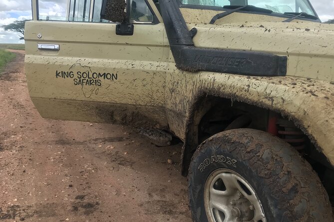 5-Day Lake Manyara, Serengeti, Ngorongoro Crater and Tarangire - Day 4: Five hours on the Ngorongoro Crater floor