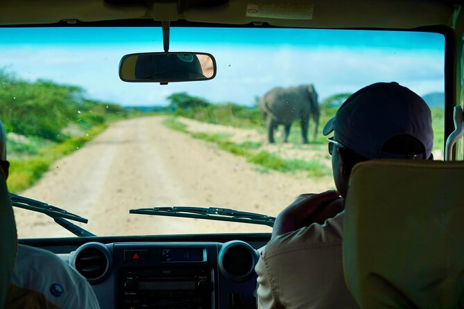 5-Day Mid-Range Safari in Tanzania - Day 3: Ngorongoro Crater and the conservation area