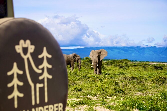 5-Day Mid-Range Safari in Tanzania - Day 5: Return to Kilimanjaro International Airport