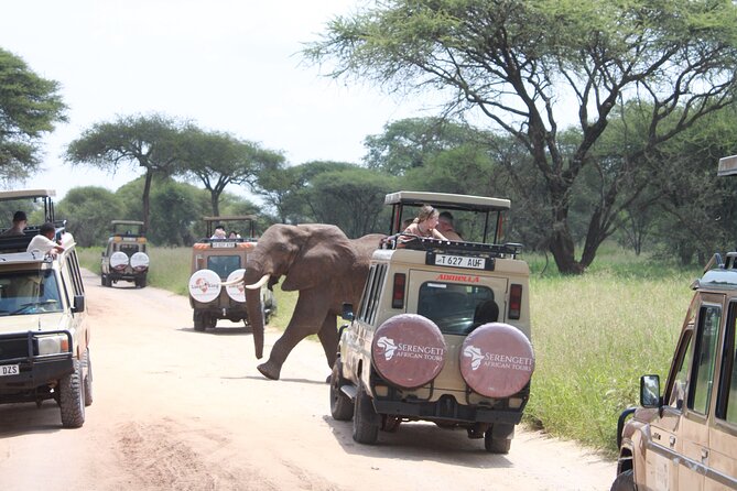 5 Day Mid range Tanzania Safari - Why this five-day route works