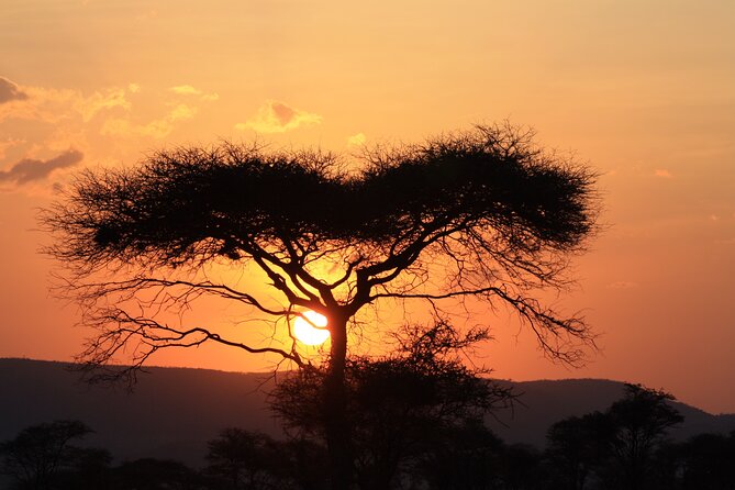 5-Day private Camping Safari Tour in Tanzania - Guide quality can shape the whole safari