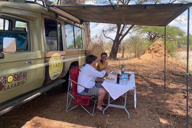 5-Day Private Northern Tanzania Safari from Arusha - Food, lodging, and daily comfort