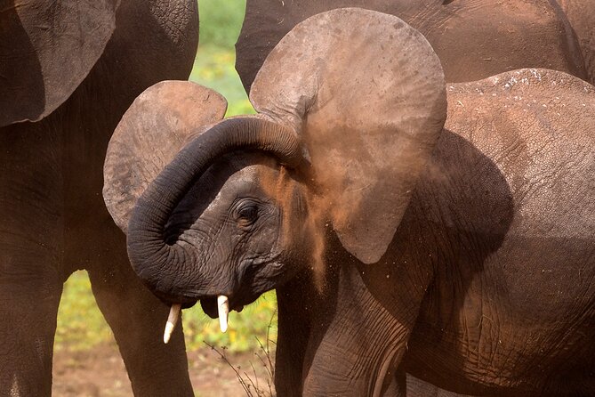 5-Day Private Safari Tour in Northern Tanzania - Why this five-day route works