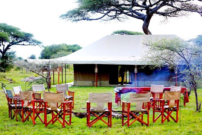 5 Days 4 Nights Tarangire, Serengeti , Ngorongoro & Manyara Wildlife Safari - Day 4: Ngorongoro Crater and Lake Magadi