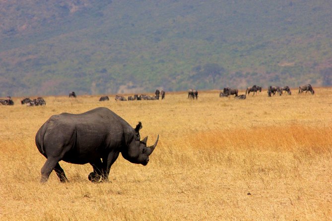 5 Days 4 Nights Tarangire, Serengeti , Ngorongoro & Manyara Wildlife Safari - Day 5: Lake Manyara before returning to Arusha