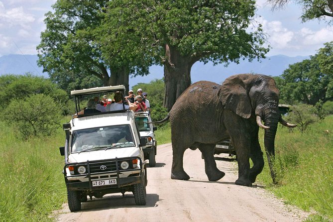 5 Days 4 Nights Tarangire, Serengeti , Ngorongoro & Manyara Wildlife Safari - What the $2,600 price covers