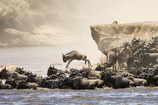 5 Days 4 Nights Tarangire, Serengeti , Ngorongoro & Manyara Wildlife Safari - Day 1: Tarangire and the first game drive