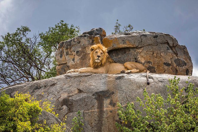 5 Days Budget Private Safari, Tanzania - Day 1: Elephants and baobabs in Tarangire