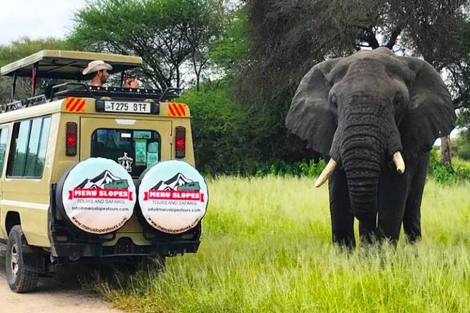 5 Days Camping Tarangire, Serengeti & Ngorongoro crater & Visiting Maasai - Day 3: A full Serengeti day and the migration question