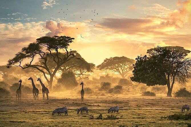 5 Days Camping Tarangire, Serengeti & Ngorongoro crater & Visiting Maasai - Guides make the difference