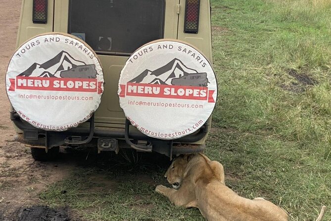 5 Days Camping Tarangire, Serengeti & Ngorongoro crater & Visiting Maasai - Day 1: Tarangire’s elephants and baobab trees