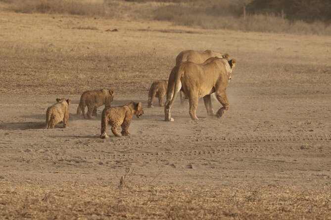 5 Days Group Camping Safari - Key points before you book