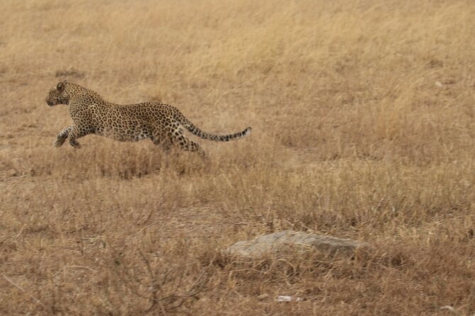 5 Days Group Camping Safari - Day 5: descending into the Ngorongoro Crater