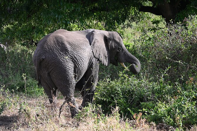 5 Days Group Camping Safari - What camping is really like on this route