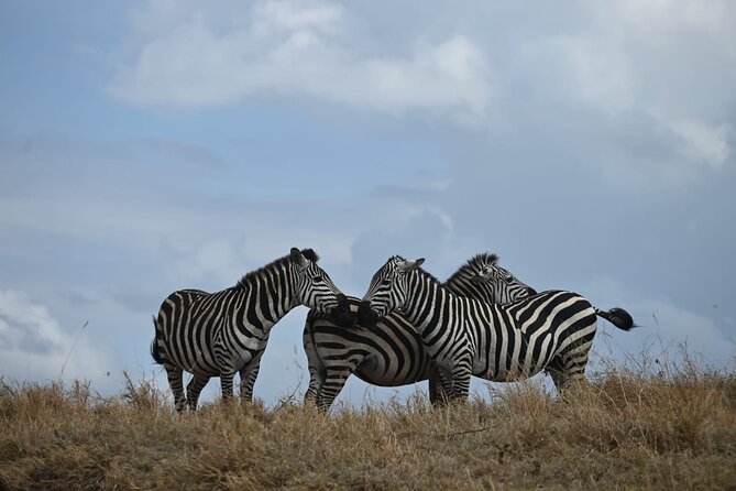 5 Days Group Camping Safari - Private guide, small group, and the booking detail to check