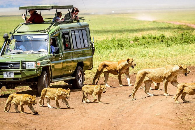 5 Days Private Safari- Tarangire, Serengeti, Ngorongoro & Manyara - Day 3: A morning Serengeti drive before Ngorongoro