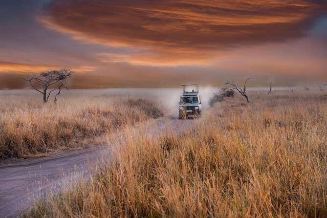 5 days safari, hiking & culture (Serengeti & kilimanjaro) - Day four: Down into Ngorongoro Crater