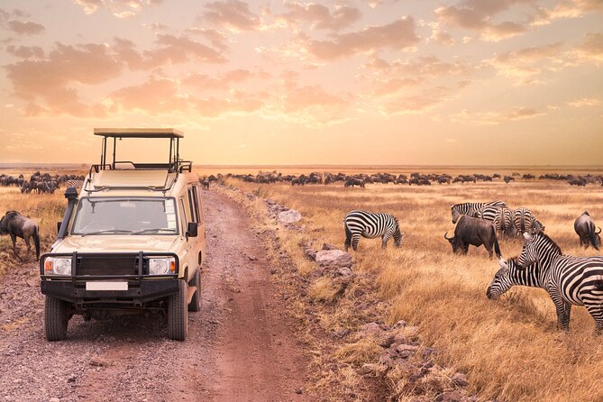 5 days safari, hiking & culture (Serengeti & kilimanjaro) - Day two: The Ngorongoro view and the road to Seronera