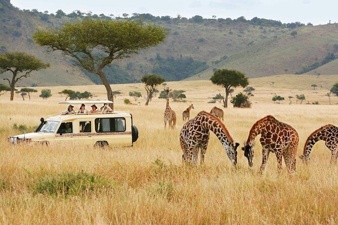 5 Days Safari in Tanzania | Camping and Lodge Safaris - A five-day route with three major safari areas