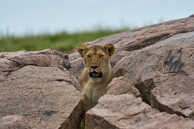 5 Days Safari Northern Circuit of Tanzania - Why this five-day route works