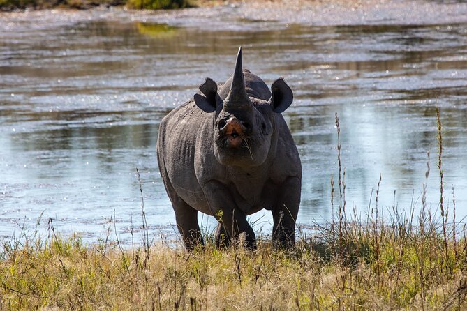 5 Days Safari Northern Circuit of Tanzania - What the private format changes