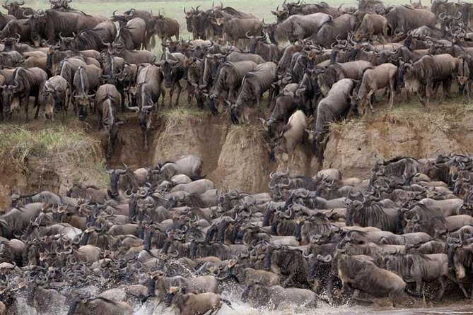 5 Days Serengeti Camping Safari - Day 3: Early wildlife viewing in the Serengeti