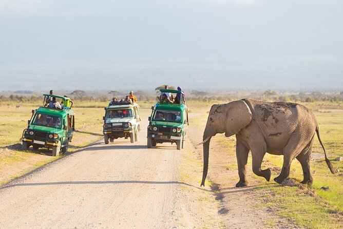 5 Days Serengeti Camping Safari - Day 1: Tarangire’s elephants and ancient baobabs