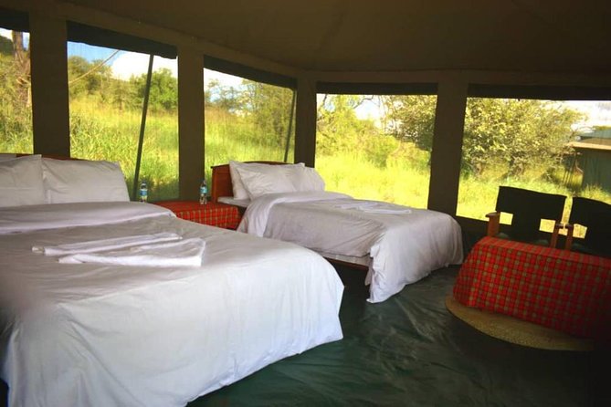 5 days serengeti, ngorongoro, tarangire & manyara lodge tour - Lodge comfort, camping gear, and the need to clarify