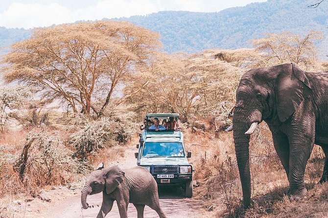 5 days serengeti, ngorongoro, tarangire & manyara lodge tour - Ngorongoro offers a different kind of game drive
