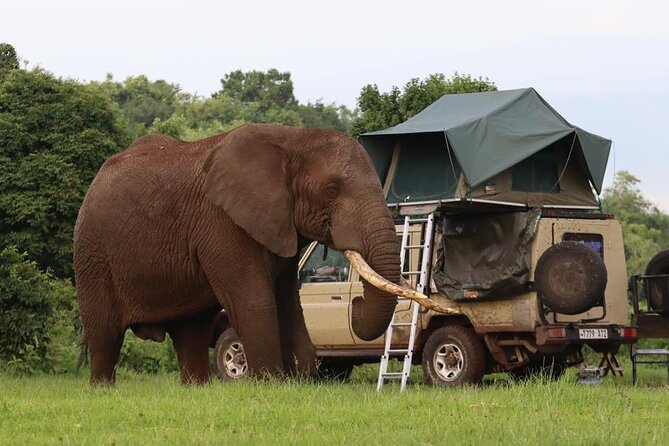 5 Days Tanzania Joining Safari with Pick Up Included Shared Tour - Day 1: Tarangire’s elephants and baobabs