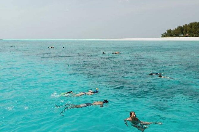 5-Hour Snorkeling, Swimming with Dolphins and Sea Turtles Aquarium - Snorkeling among Mnemba Atoll’s reef fish