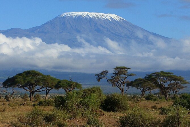 6-Day Kilimanjaro Climbing Via Machame Route - Key points to know before booking
