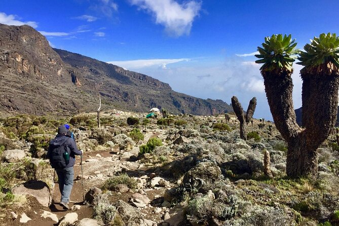 6-Day Kilimanjaro Climbing Via Machame Route - Day 5: The midnight climb to Stella Point