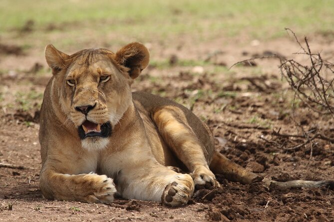 6-day Private Camping Safari Tour from Kilimanjaro Airport - Key points to know before booking