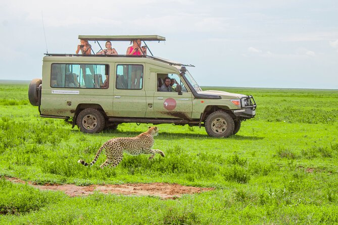 6 Day Tanzania Wildlife Mid range Safari - Day three: Entering the Serengeti through the highlands