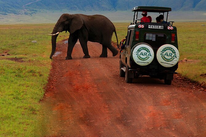 6 Days 5 Night Safari - Day 4: Olduvai Gorge and the edge of Ngorongoro