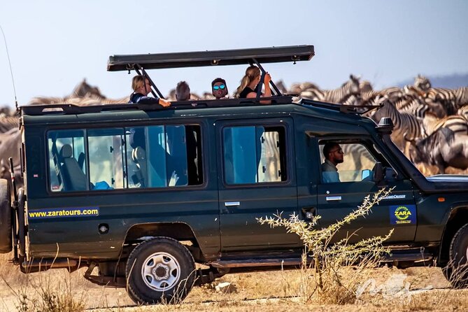 6 Days 5 Night Safari - Day 5: Ngorongoro Crater and the Big Five
