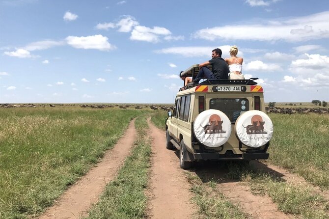 6 days 5 nights safari Ngorongoro, Serengeti and Tarangire National Parks - Day 6: Six hours inside Ngorongoro Crater