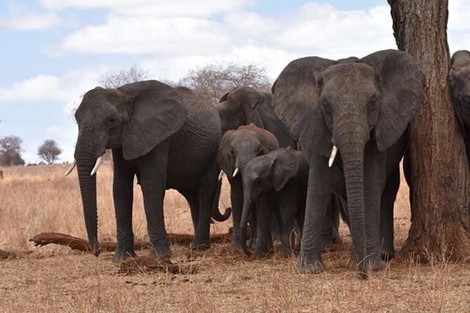 6 Days: Classic Camping( Tarangire, Manyara, Serengeti And Ngorongoro). - Day 2: Lake Manyara’s forest, lake, and birds