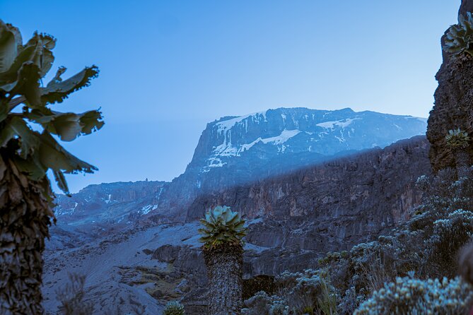 6 Days Climb Private Tour in Mount Kilimanjaro - Day one: coffee farms to Machame Camp