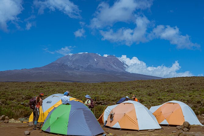 6 Days Climb Private Tour in Mount Kilimanjaro - Day two: Shira Plateau and the first big views