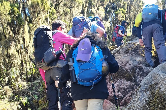 6 Days Climbing Mount Kilimanjaro Machame Route - Day 3: Lava Tower, high altitude, and the descent to Barranco
