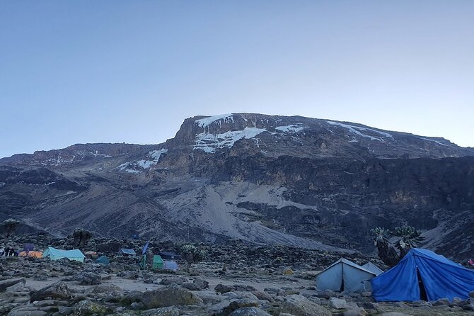 6 Days Climbing Mount Kilimanjaro Machame Route - Day 6: Mweka Gate, certificates, and the return to town