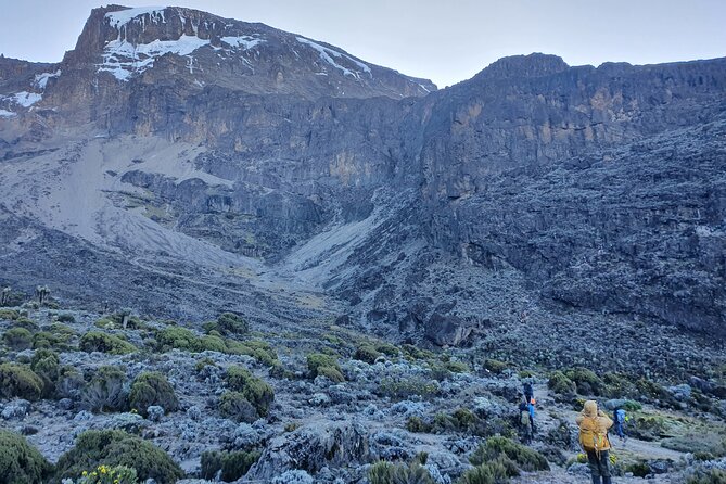 6 Days Climbing Mount Kilimanjaro Machame Route - Day 2: Leaving the trees for Shira Cave Camp