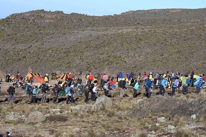 6 Days: Hiking Kilimanjaro via Machame Route - Day 3: Lava Tower, alpine desert, and Barranco Valley
