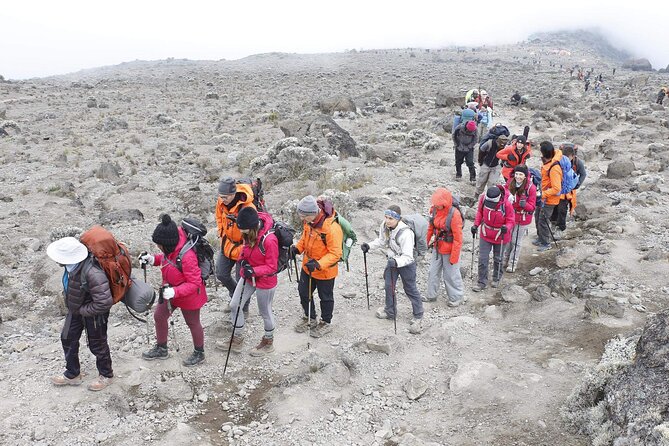 6 Days: Hiking Kilimanjaro via Machame Route - Day 6: Rainforest descent to Mweka Gate