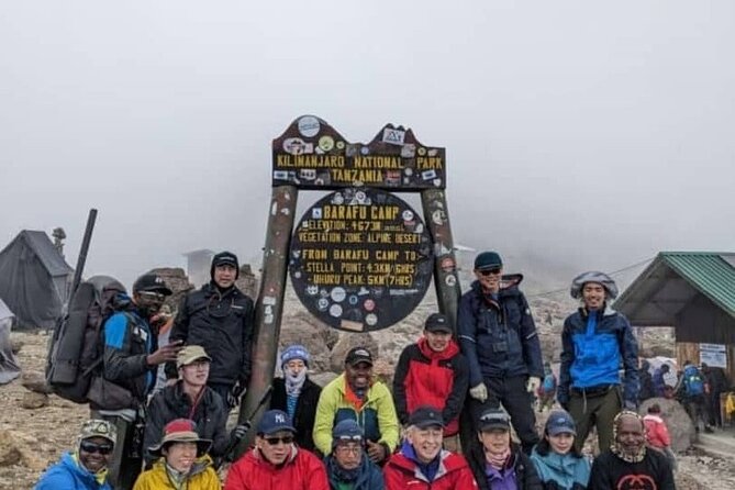 6 Days Machame Route Kilimanjaro Climbing Trekking Tour - Lava Tower, 15,223 feet, then down to Barranco