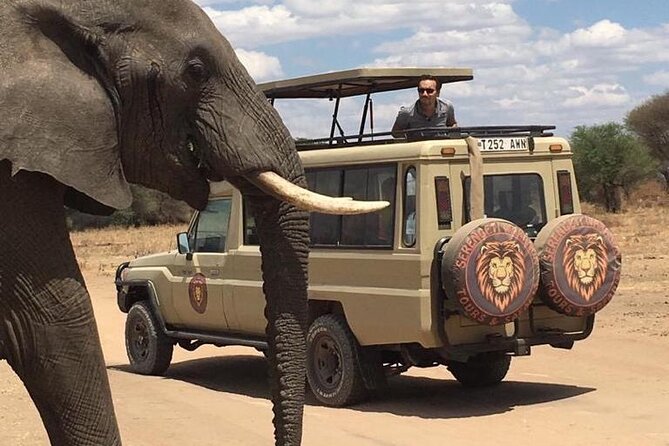 6 Days Private Budget Safari - Day 3: a full day in the Serengeti